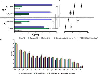 Hydrogen Oxidation Influences Glycogen Accumulation in a Verrucomicrobial Methanotroph